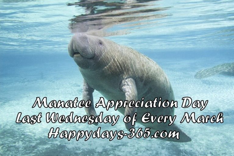 Manatee Appreciation Day Happy Days 365