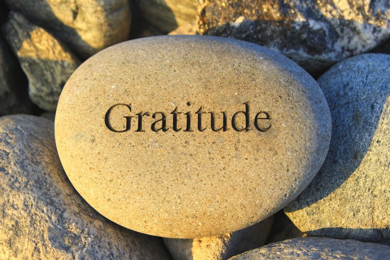 Gratitude Day