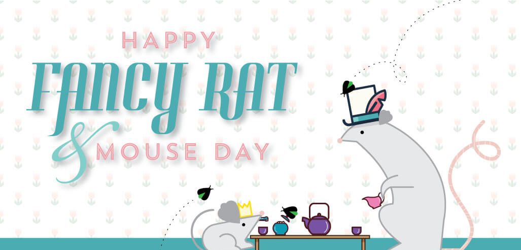 Fancy Rat and Mouse Day – November 12, 2021