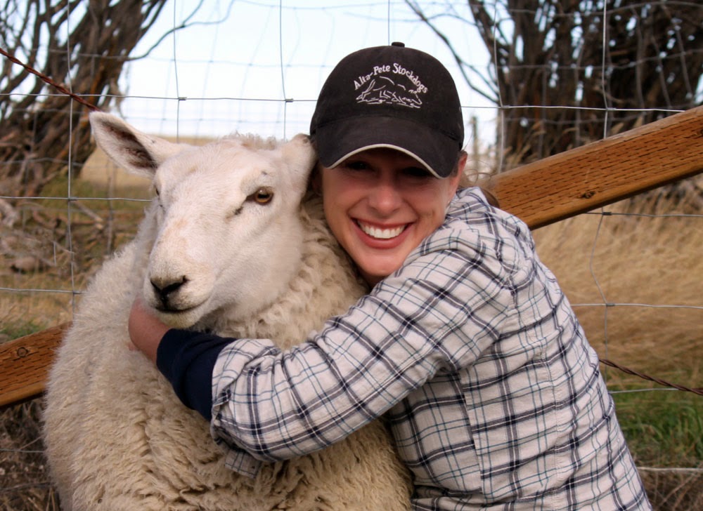 National Hug A Sheep Day