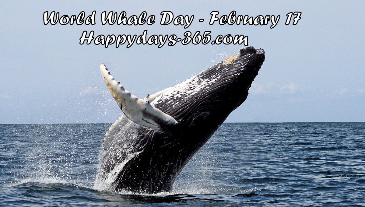 World Whale Day 2018 - February 17