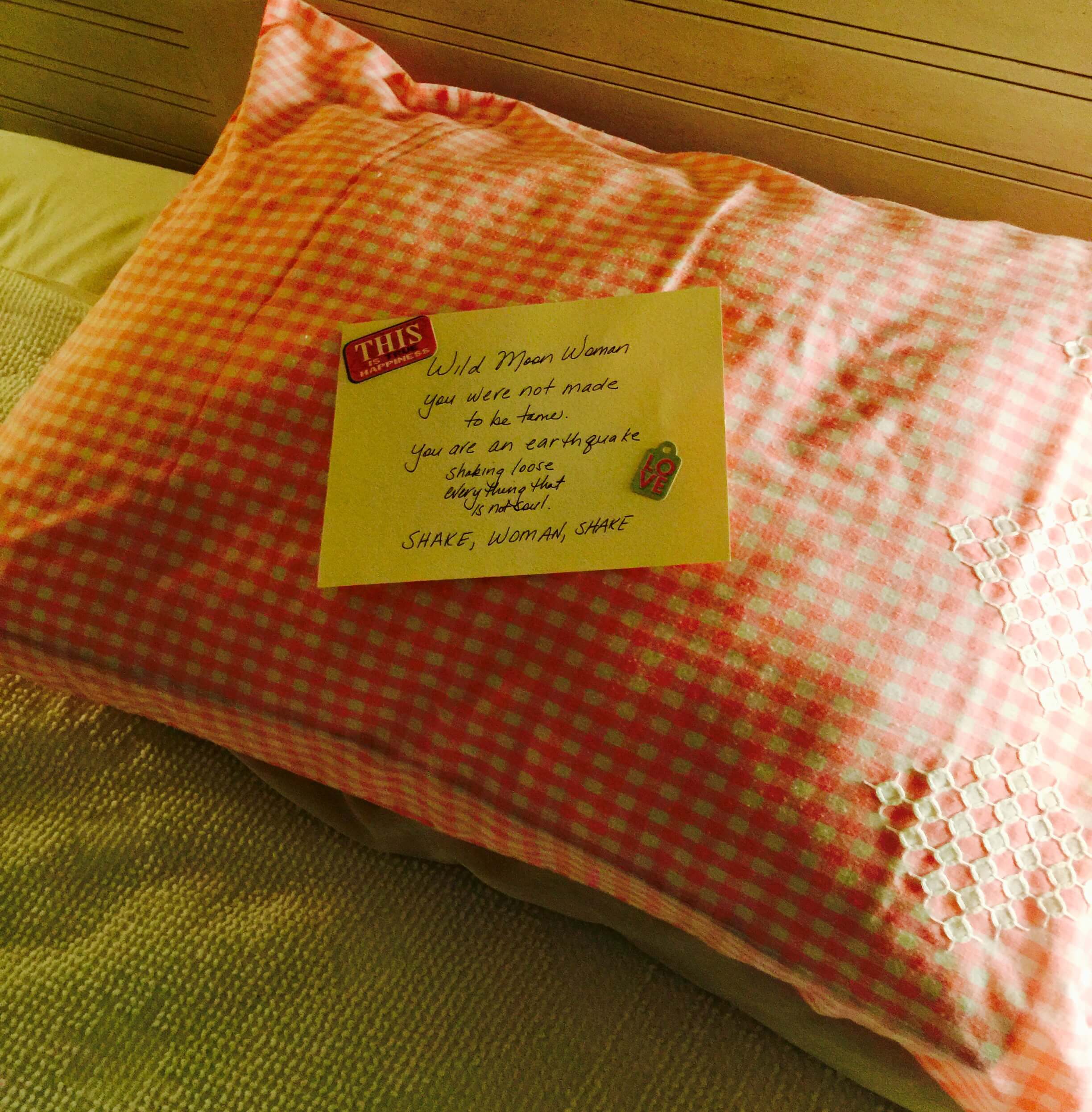 Poem On Your Pillow Day