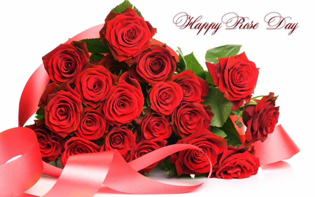 Happy Rose Day - February 7, 2023 - Happy Days 365