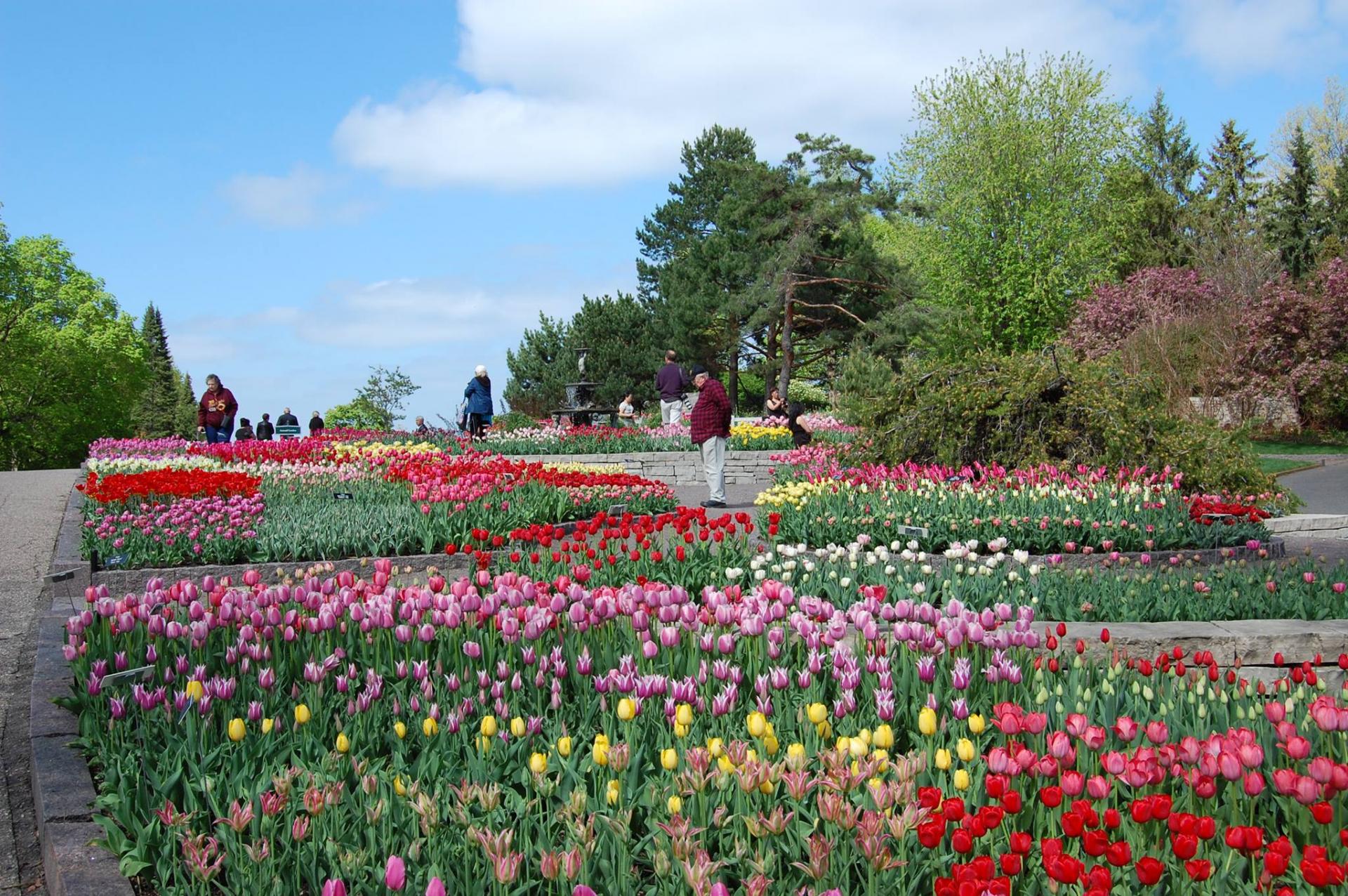 National Public Gardens Day May 10, 2024 Happy Days 365