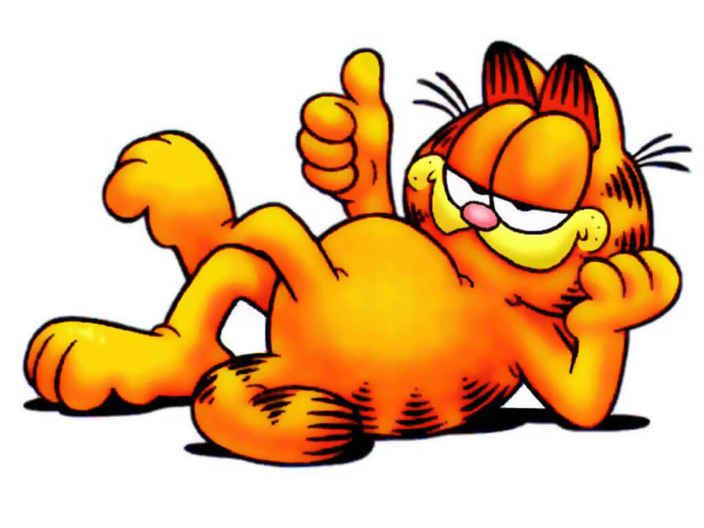 Garfield The Cat Day 2024 Fan Rachelle