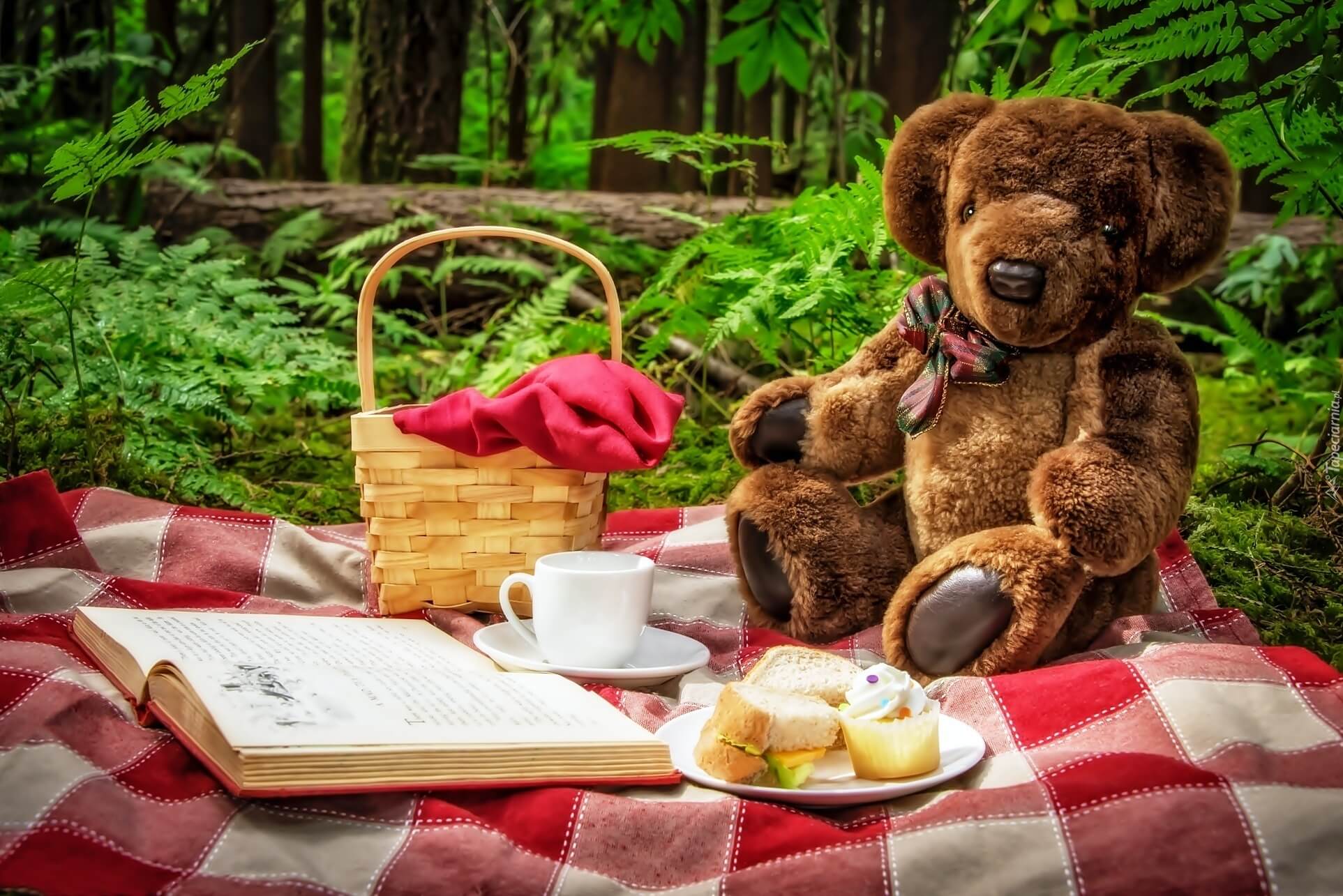 Teddy Bear Picnic Day