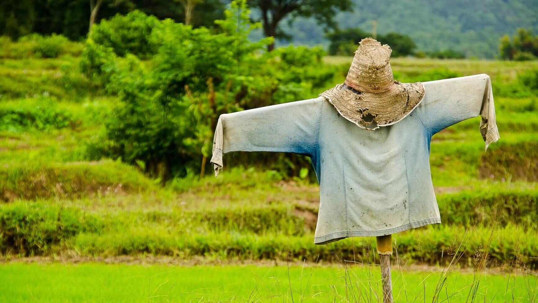 National Build a Scarecrow Day
