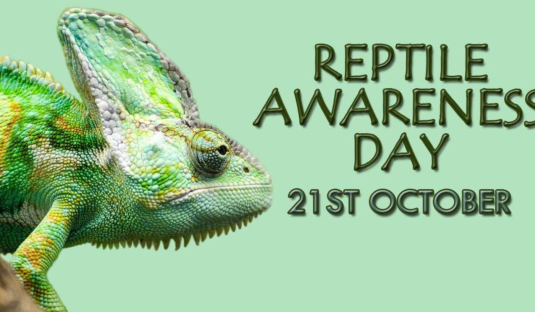 National Reptile Awareness Day