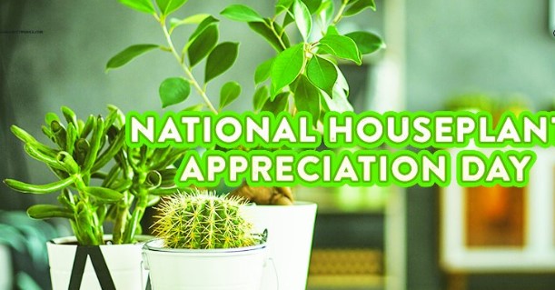 Houseplant Appreciation Day – January 10, 2022