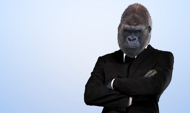National Gorilla Suit Day