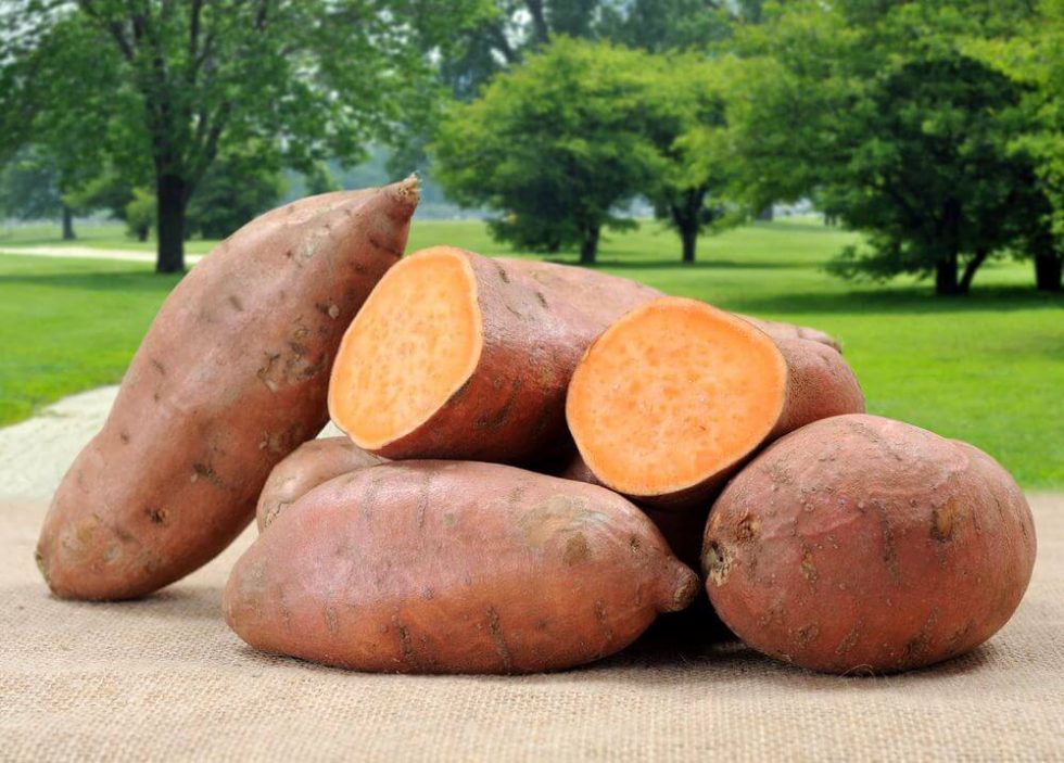 National Cook a Sweet Potato Day February 22, 2024 Happy Days 365