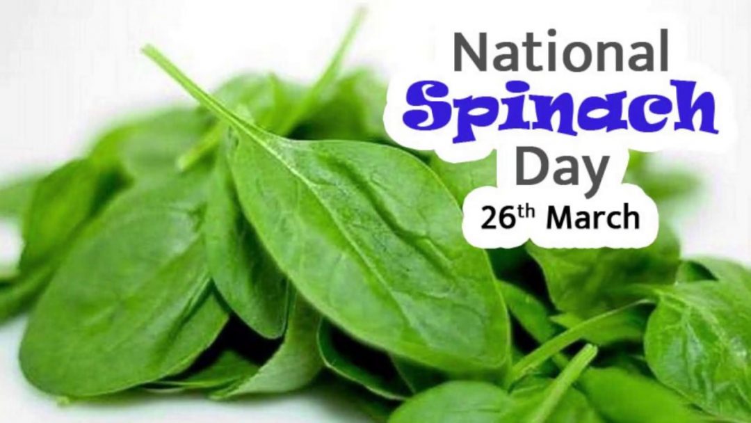 National Spinach Day - March 26, 2022 - Happy Days 365