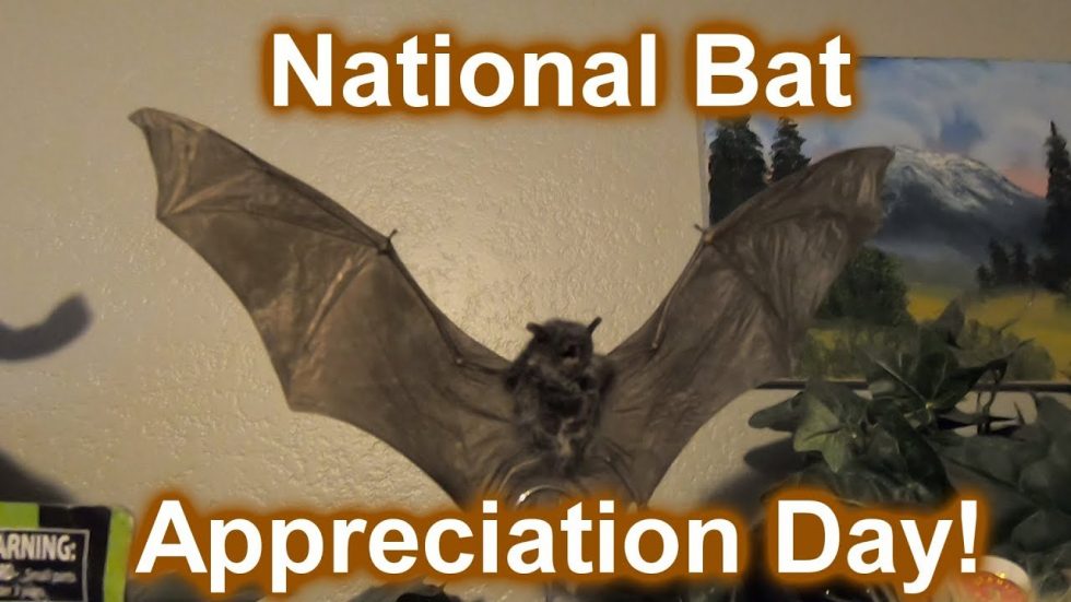 National Bat Appreciation Day April 17, 2023 Happy Days 365