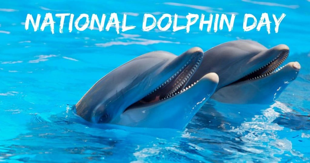 National Dolphin Day April 14, 2024 Happy Days 365