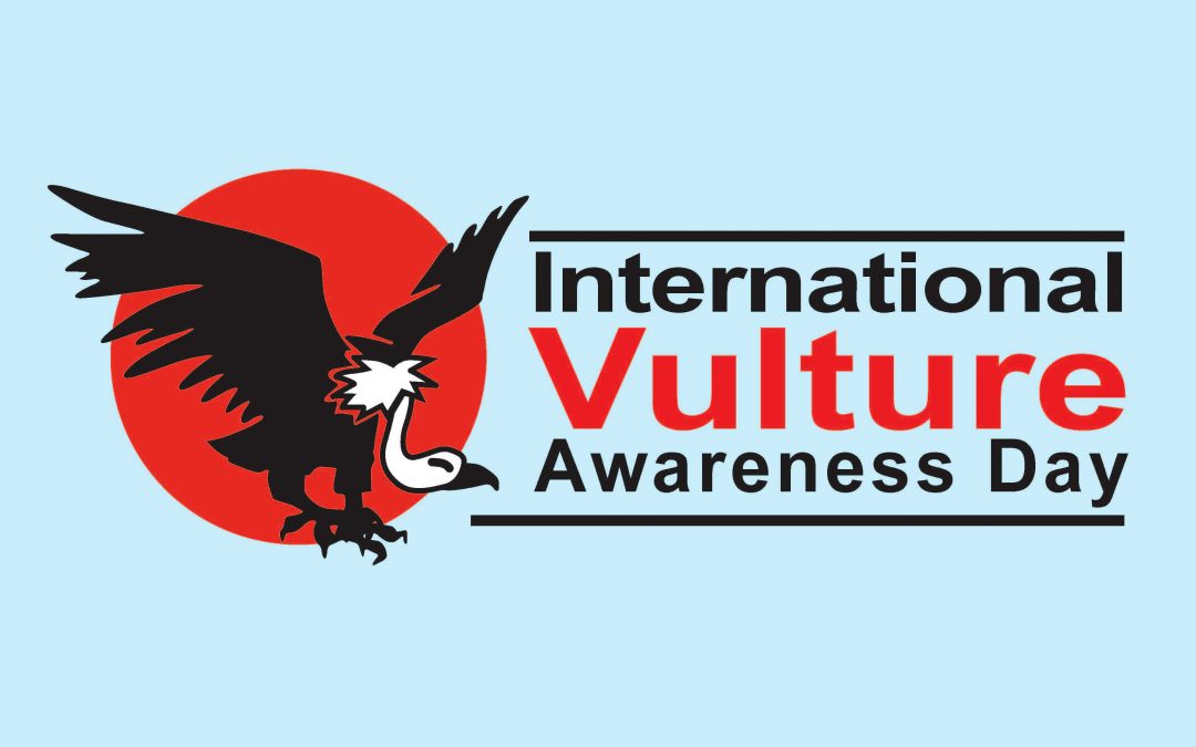 International Turkey Vulture Day – September 4, 2021